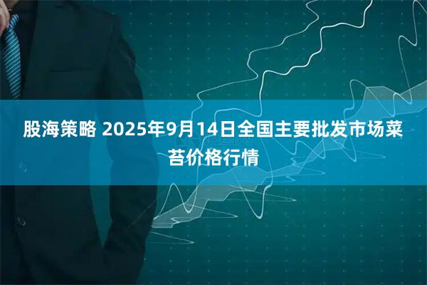 股海策略 2025年9月14日全国主要批发市场菜苔价格行情