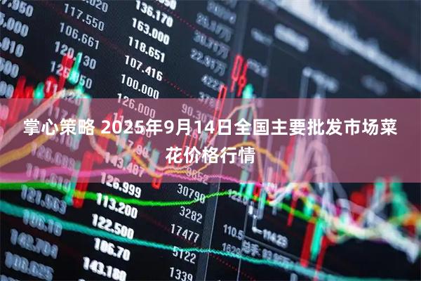 掌心策略 2025年9月14日全国主要批发市场菜花价格行情