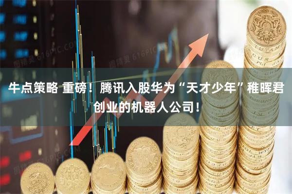 牛点策略 重磅！腾讯入股华为“天才少年”稚晖君创业的机器人公司！
