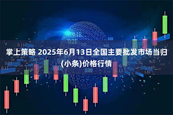 掌上策略 2025年6月13日全国主要批发市场当归(小条)价格行情